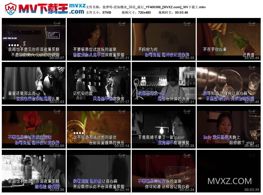 徐梦玲-爱如潮水_国语_流行_YF400399